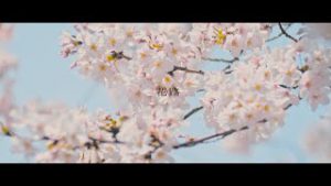 キム・ヒョンジュン 花路
